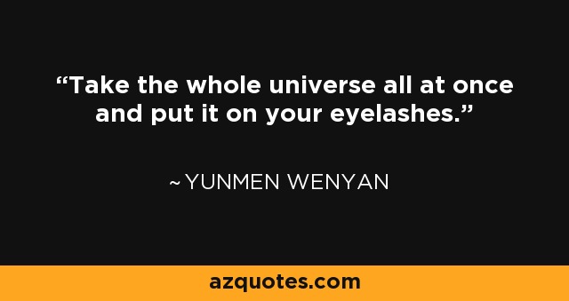 Take the whole universe all at once and put it on your eyelashes. - Yunmen Wenyan
