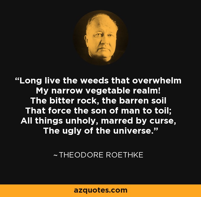 Long live the weeds that overwhelm My narrow vegetable realm! The bitter rock, the barren soil That force the son of man to toil; All things unholy, marred by curse, The ugly of the universe. - Theodore Roethke