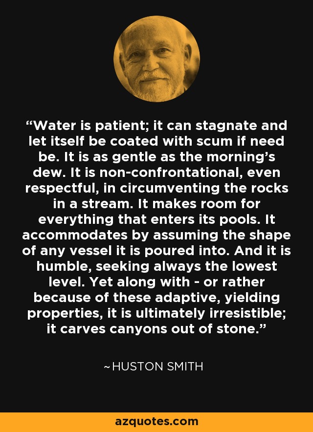 Water is patient; it can stagnate and let itself be coated with scum if need be. It is as gentle as the morning's dew. It is non-confrontational, even respectful, in circumventing the rocks in a stream. It makes room for everything that enters its pools. It accommodates by assuming the shape of any vessel it is poured into. And it is humble, seeking always the lowest level. Yet along with - or rather because of these adaptive, yielding properties, it is ultimately irresistible; it carves canyons out of stone. - Huston Smith