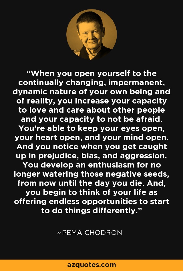 When you open yourself to the continually changing, impermanent, dynamic nature of your own being and of reality, you increase your capacity to love and care about other people and your capacity to not be afraid. You're able to keep your eyes open, your heart open, and your mind open. And you notice when you get caught up in prejudice, bias, and aggression. You develop an enthusiasm for no longer watering those negative seeds, from now until the day you die. And, you begin to think of your life as offering endless opportunities to start to do things differently. - Pema Chodron