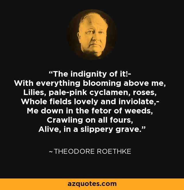 The indignity of it!- With everything blooming above me, Lilies, pale-pink cyclamen, roses, Whole fields lovely and inviolate,- Me down in the fetor of weeds, Crawling on all fours, Alive, in a slippery grave. - Theodore Roethke