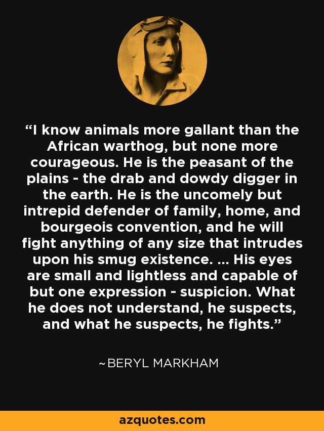 I know animals more gallant than the African warthog, but none more courageous. He is the peasant of the plains - the drab and dowdy digger in the earth. He is the uncomely but intrepid defender of family, home, and bourgeois convention, and he will fight anything of any size that intrudes upon his smug existence. ... His eyes are small and lightless and capable of but one expression - suspicion. What he does not understand, he suspects, and what he suspects, he fights. - Beryl Markham