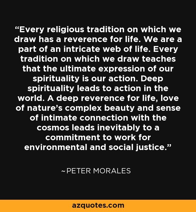 Every religious tradition on which we draw has a reverence for life. We are a part of an intricate web of life. Every tradition on which we draw teaches that the ultimate expression of our spirituality is our action. Deep spirituality leads to action in the world. A deep reverence for life, love of nature's complex beauty and sense of intimate connection with the cosmos leads inevitably to a commitment to work for environmental and social justice. - Peter Morales