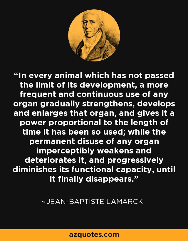In every animal which has not passed the limit of its development, a more frequent and continuous use of any organ gradually strengthens, develops and enlarges that organ, and gives it a power proportional to the length of time it has been so used; while the permanent disuse of any organ imperceptibly weakens and deteriorates it, and progressively diminishes its functional capacity, until it finally disappears. - Jean-Baptiste Lamarck