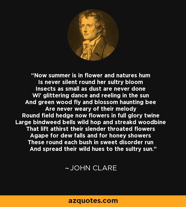 Now summer is in flower and natures hum Is never silent round her sultry bloom Insects as small as dust are never done Wi' glittering dance and reeling in the sun And green wood fly and blossom haunting bee Are never weary of their melody Round field hedge now flowers in full glory twine Large bindweed bells wild hop and streakd woodbine That lift athirst their slender throated flowers Agape for dew falls and for honey showers These round each bush in sweet disorder run And spread their wild hues to the sultry sun. - John Clare