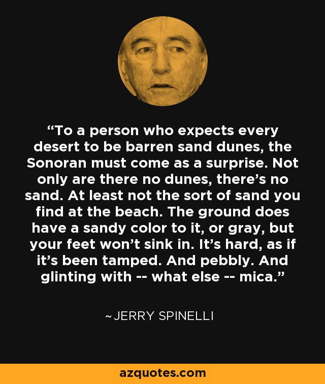 To a person who expects every desert to be barren sand dunes, the Sonoran must come as a surprise. Not only are there no dunes, there's no sand. At least not the sort of sand you find at the beach. The ground does have a sandy color to it, or gray, but your feet won't sink in. It's hard, as if it's been tamped. And pebbly. And glinting with -- what else -- mica. - Jerry Spinelli