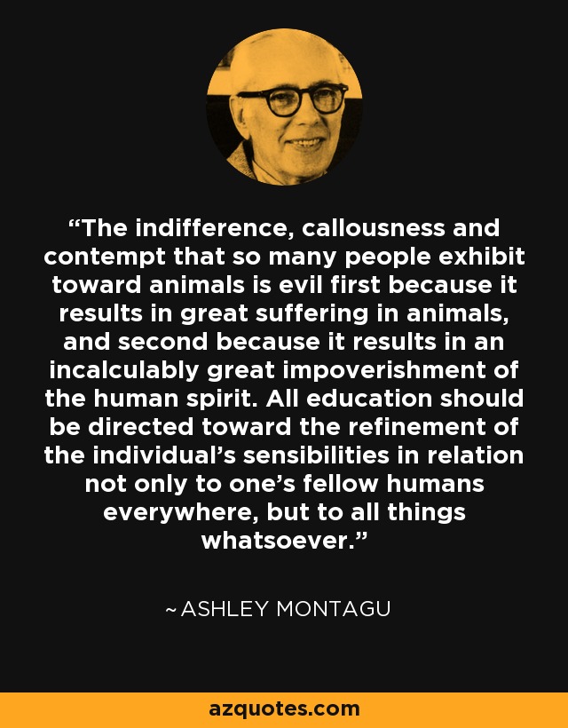 The indifference, callousness and contempt that so many people exhibit toward animals is evil first because it results in great suffering in animals, and second because it results in an incalculably great impoverishment of the human spirit. All education should be directed toward the refinement of the individual's sensibilities in relation not only to one's fellow humans everywhere, but to all things whatsoever. - Ashley Montagu