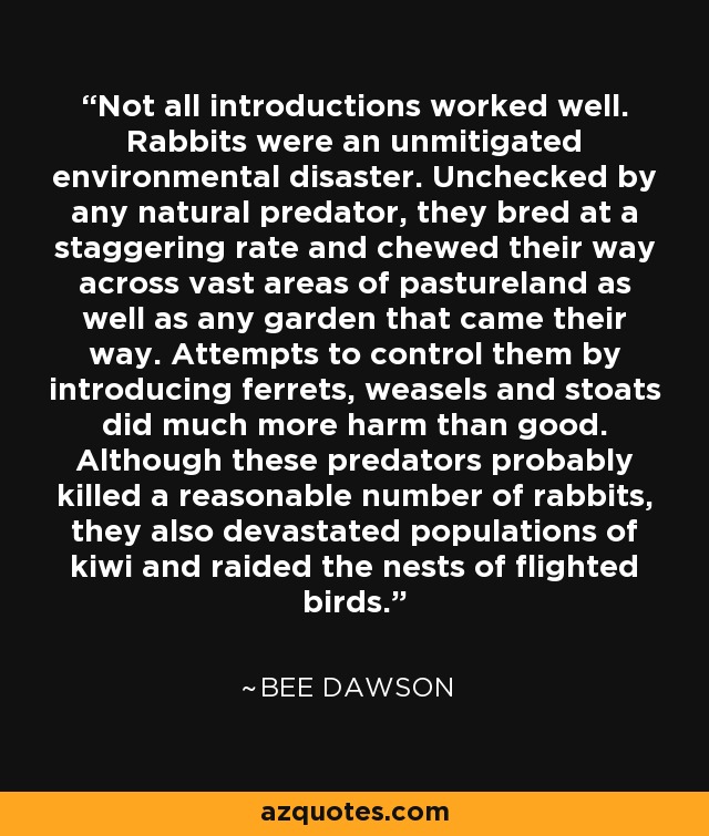 Not all introductions worked well. Rabbits were an unmitigated environmental disaster. Unchecked by any natural predator, they bred at a staggering rate and chewed their way across vast areas of pastureland as well as any garden that came their way. Attempts to control them by introducing ferrets, weasels and stoats did much more harm than good. Although these predators probably killed a reasonable number of rabbits, they also devastated populations of kiwi and raided the nests of flighted birds. - Bee Dawson