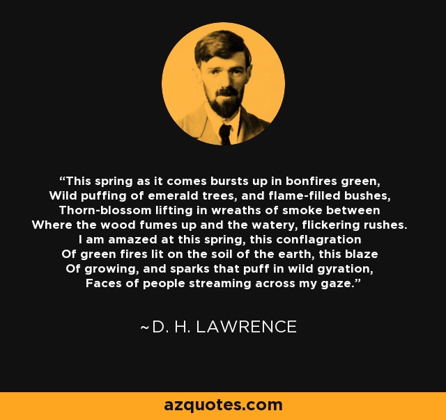 This spring as it comes bursts up in bonfires green, Wild puffing of emerald trees, and flame-filled bushes, Thorn-blossom lifting in wreaths of smoke between Where the wood fumes up and the watery, flickering rushes. I am amazed at this spring, this conflagration Of green fires lit on the soil of the earth, this blaze Of growing, and sparks that puff in wild gyration, Faces of people streaming across my gaze. - D. H. Lawrence