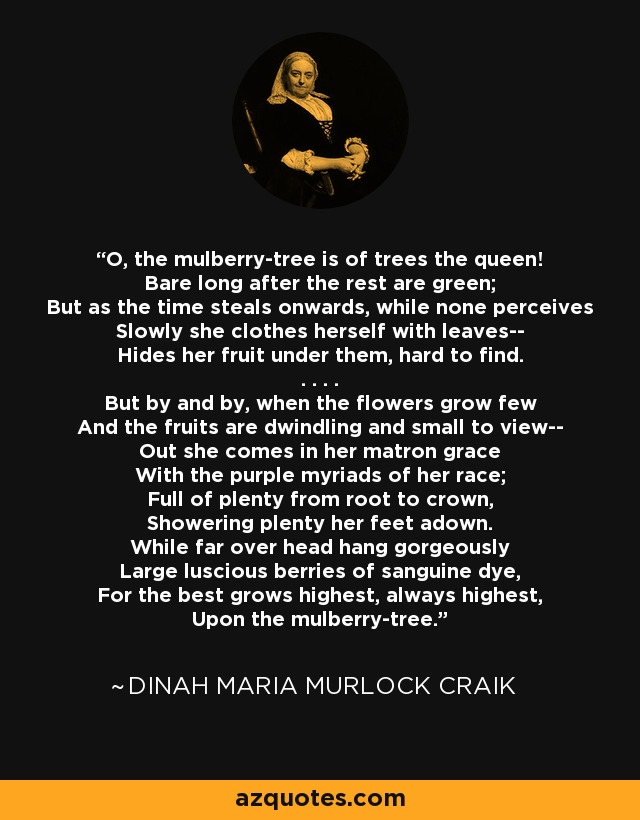 O, the mulberry-tree is of trees the queen! Bare long after the rest are green; But as the time steals onwards, while none perceives Slowly she clothes herself with leaves-- Hides her fruit under them, hard to find. . . . . But by and by, when the flowers grow few And the fruits are dwindling and small to view-- Out she comes in her matron grace With the purple myriads of her race; Full of plenty from root to crown, Showering plenty her feet adown. While far over head hang gorgeously Large luscious berries of sanguine dye, For the best grows highest, always highest, Upon the mulberry-tree. - Dinah Maria Murlock Craik