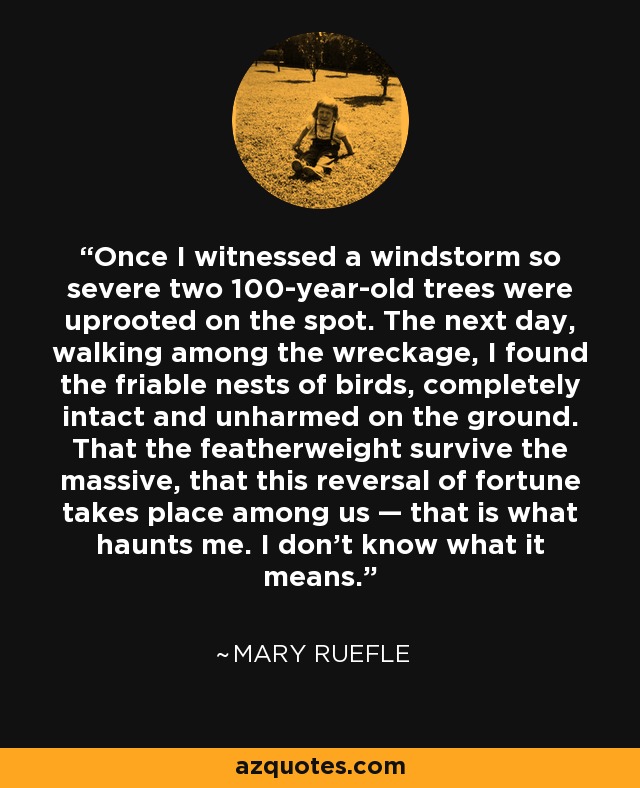 Once I witnessed a windstorm so severe two 100-year-old trees were uprooted on the spot. The next day, walking among the wreckage, I found the friable nests of birds, completely intact and unharmed on the ground. That the featherweight survive the massive, that this reversal of fortune takes place among us — that is what haunts me. I don’t know what it means. - Mary Ruefle