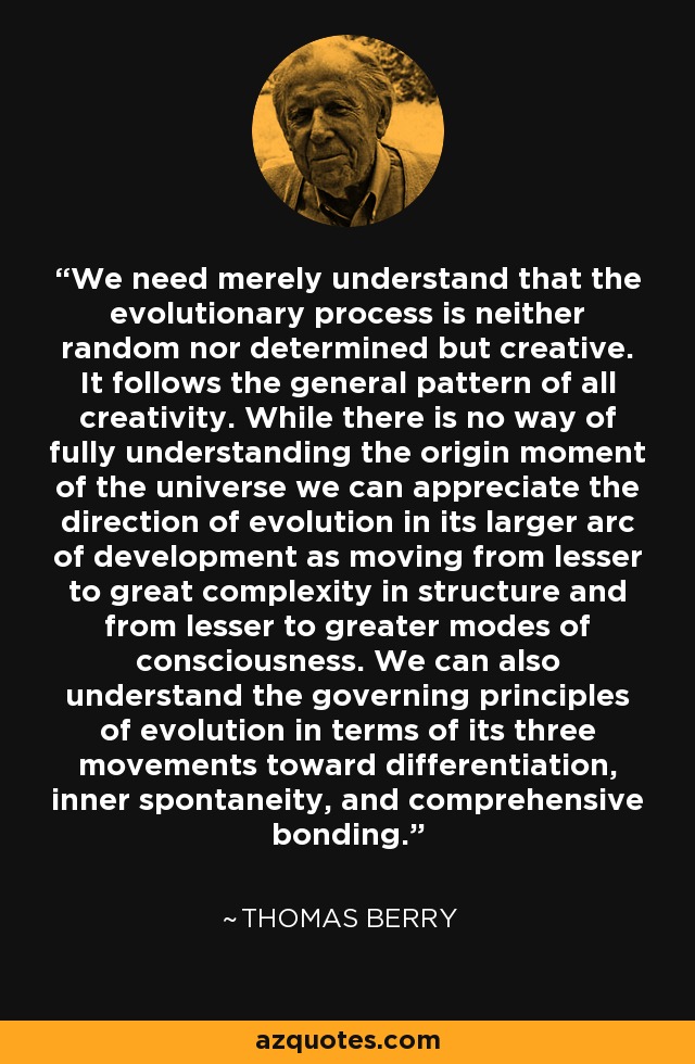 We need merely understand that the evolutionary process is neither random nor determined but creative. It follows the general pattern of all creativity. While there is no way of fully understanding the origin moment of the universe we can appreciate the direction of evolution in its larger arc of development as moving from lesser to great complexity in structure and from lesser to greater modes of consciousness. We can also understand the governing principles of evolution in terms of its three movements toward differentiation, inner spontaneity, and comprehensive bonding. - Thomas Berry