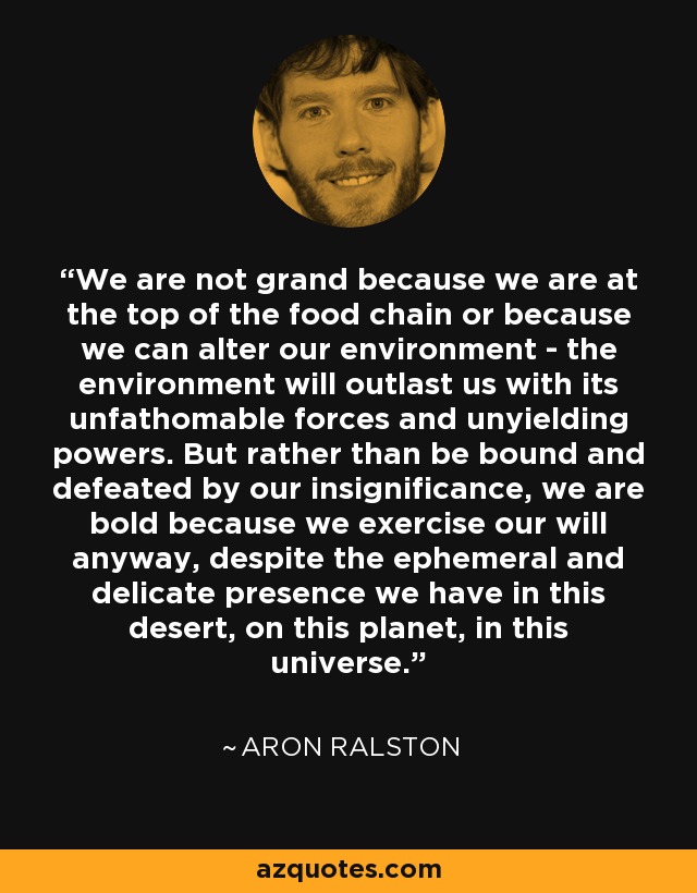 We are not grand because we are at the top of the food chain or because we can alter our environment - the environment will outlast us with its unfathomable forces and unyielding powers. But rather than be bound and defeated by our insignificance, we are bold because we exercise our will anyway, despite the ephemeral and delicate presence we have in this desert, on this planet, in this universe. - Aron Ralston