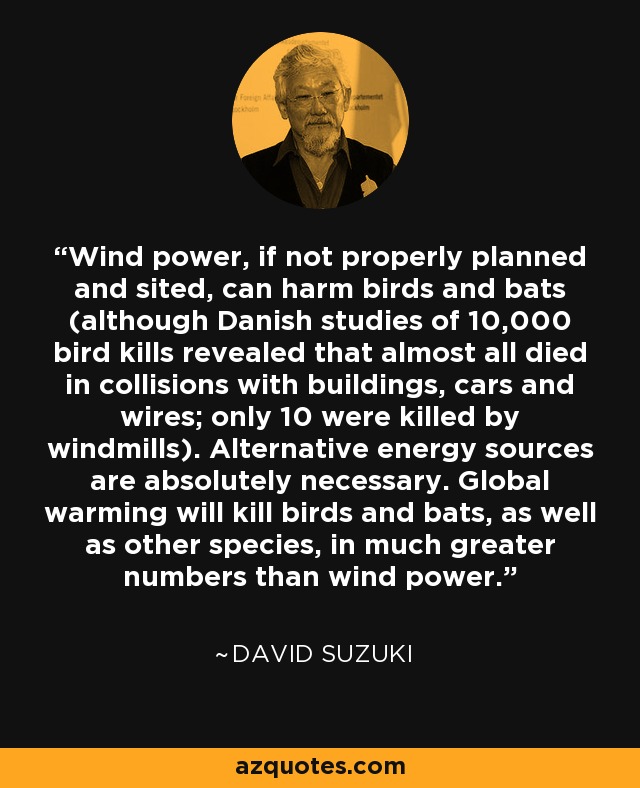 Wind power, if not properly planned and sited, can harm birds and bats (although Danish studies of 10,000 bird kills revealed that almost all died in collisions with buildings, cars and wires; only 10 were killed by windmills). Alternative energy sources are absolutely necessary. Global warming will kill birds and bats, as well as other species, in much greater numbers than wind power. - David Suzuki
