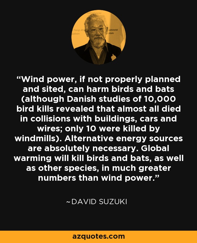 Wind power, if not properly planned and sited, can harm birds and bats (although Danish studies of 10,000 bird kills revealed that almost all died in collisions with buildings, cars and wires; only 10 were killed by windmills). Alternative energy sources are absolutely necessary. Global warming will kill birds and bats, as well as other species, in much greater numbers than wind power. - David Suzuki