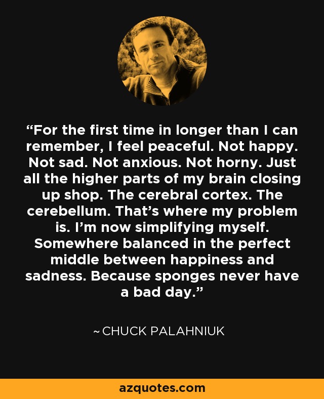 For the first time in longer than I can remember, I feel peaceful. Not happy. Not sad. Not anxious. Not horny. Just all the higher parts of my brain closing up shop. The cerebral cortex. The cerebellum. That's where my problem is. I'm now simplifying myself. Somewhere balanced in the perfect middle between happiness and sadness. Because sponges never have a bad day. - Chuck Palahniuk