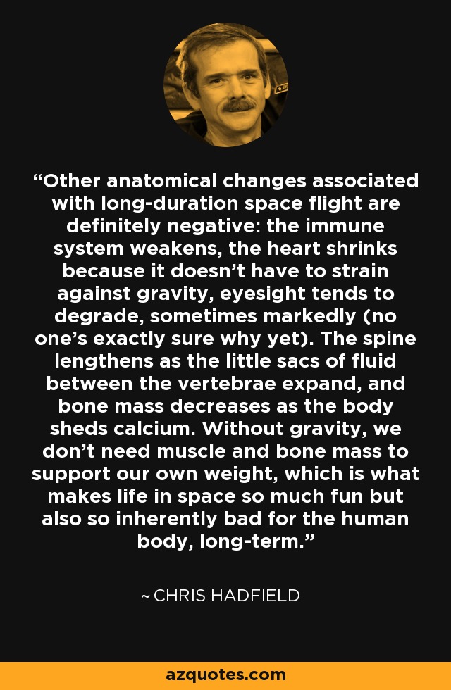 Other anatomical changes associated with long-duration space flight are definitely negative: the immune system weakens, the heart shrinks because it doesn't have to strain against gravity, eyesight tends to degrade, sometimes markedly (no one's exactly sure why yet). The spine lengthens as the little sacs of fluid between the vertebrae expand, and bone mass decreases as the body sheds calcium. Without gravity, we don't need muscle and bone mass to support our own weight, which is what makes life in space so much fun but also so inherently bad for the human body, long-term. - Chris Hadfield