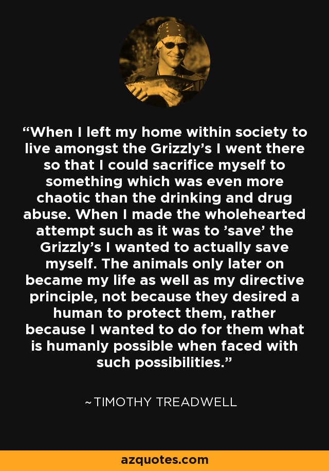 When I left my home within society to live amongst the Grizzly's I went there so that I could sacrifice myself to something which was even more chaotic than the drinking and drug abuse. When I made the wholehearted attempt such as it was to 'save' the Grizzly's I wanted to actually save myself. The animals only later on became my life as well as my directive principle, not because they desired a human to protect them, rather because I wanted to do for them what is humanly possible when faced with such possibilities. - Timothy Treadwell