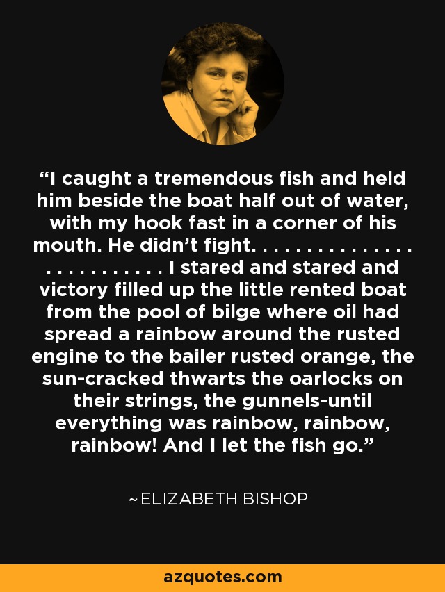 I caught a tremendous fish and held him beside the boat half out of water, with my hook fast in a corner of his mouth. He didn't fight. . . . . . . . . . . . . . . . . . . . . . . . . . I stared and stared and victory filled up the little rented boat from the pool of bilge where oil had spread a rainbow around the rusted engine to the bailer rusted orange, the sun-cracked thwarts the oarlocks on their strings, the gunnels-until everything was rainbow, rainbow, rainbow! And I let the fish go. - Elizabeth Bishop