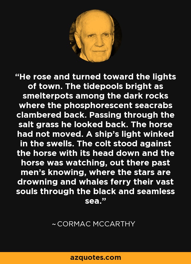 He rose and turned toward the lights of town. The tidepools bright as smelterpots among the dark rocks where the phosphorescent seacrabs clambered back. Passing through the salt grass he looked back. The horse had not moved. A ship's light winked in the swells. The colt stood against the horse with its head down and the horse was watching, out there past men's knowing, where the stars are drowning and whales ferry their vast souls through the black and seamless sea. - Cormac McCarthy