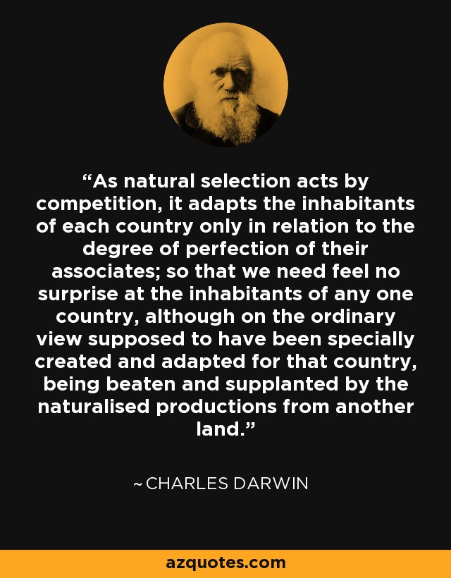 As natural selection acts by competition, it adapts the inhabitants of each country only in relation to the degree of perfection of their associates; so that we need feel no surprise at the inhabitants of any one country, although on the ordinary view supposed to have been specially created and adapted for that country, being beaten and supplanted by the naturalised productions from another land. - Charles Darwin