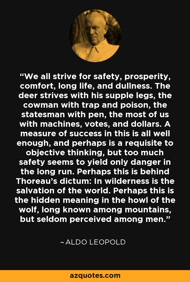 We all strive for safety, prosperity, comfort, long life, and dullness. The deer strives with his supple legs, the cowman with trap and poison, the statesman with pen, the most of us with machines, votes, and dollars. A measure of success in this is all well enough, and perhaps is a requisite to objective thinking, but too much safety seems to yield only danger in the long run. Perhaps this is behind Thoreau's dictum: In wilderness is the salvation of the world. Perhaps this is the hidden meaning in the howl of the wolf, long known among mountains, but seldom perceived among men. - Aldo Leopold