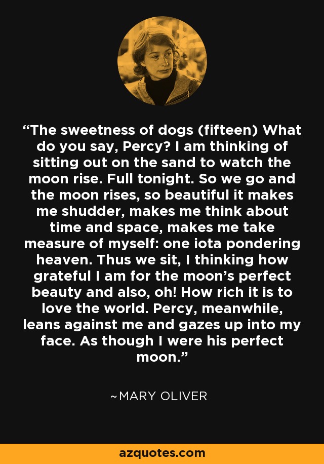 The sweetness of dogs (fifteen) What do you say, Percy? I am thinking of sitting out on the sand to watch the moon rise. Full tonight. So we go and the moon rises, so beautiful it makes me shudder, makes me think about time and space, makes me take measure of myself: one iota pondering heaven. Thus we sit, I thinking how grateful I am for the moon’s perfect beauty and also, oh! How rich it is to love the world. Percy, meanwhile, leans against me and gazes up into my face. As though I were his perfect moon. - Mary Oliver