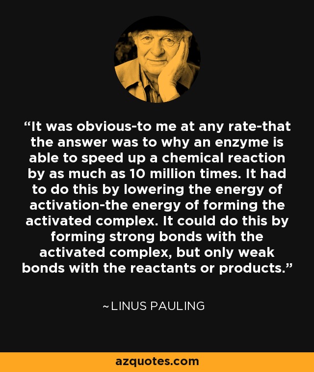 It was obvious-to me at any rate-that the answer was to why an enzyme is able to speed up a chemical reaction by as much as 10 million times. It had to do this by lowering the energy of activation-the energy of forming the activated complex. It could do this by forming strong bonds with the activated complex, but only weak bonds with the reactants or products. - Linus Pauling