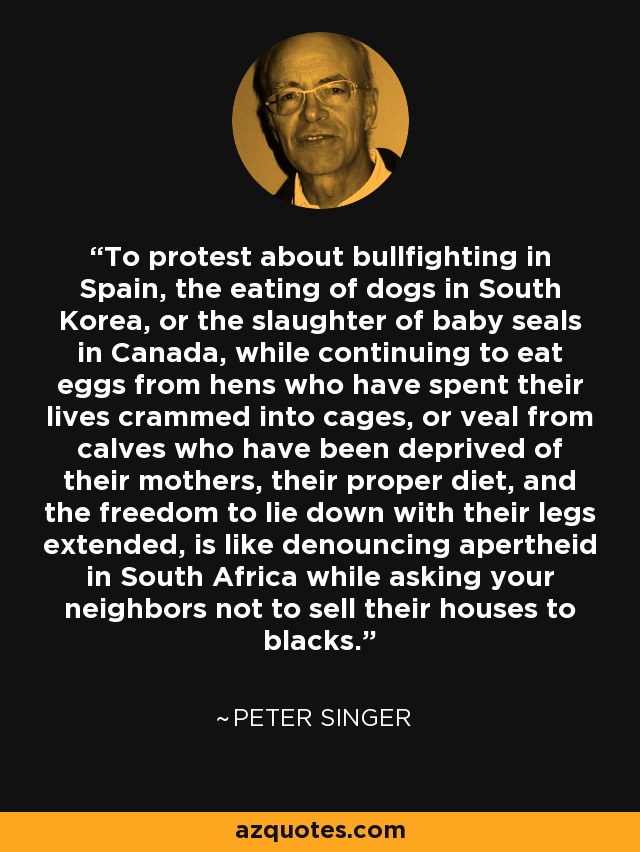 To protest about bullfighting in Spain, the eating of dogs in South Korea, or the slaughter of baby seals in Canada, while continuing to eat eggs from hens who have spent their lives crammed into cages, or veal from calves who have been deprived of their mothers, their proper diet, and the freedom to lie down with their legs extended, is like denouncing apertheid in South Africa while asking your neighbors not to sell their houses to blacks. - Peter Singer