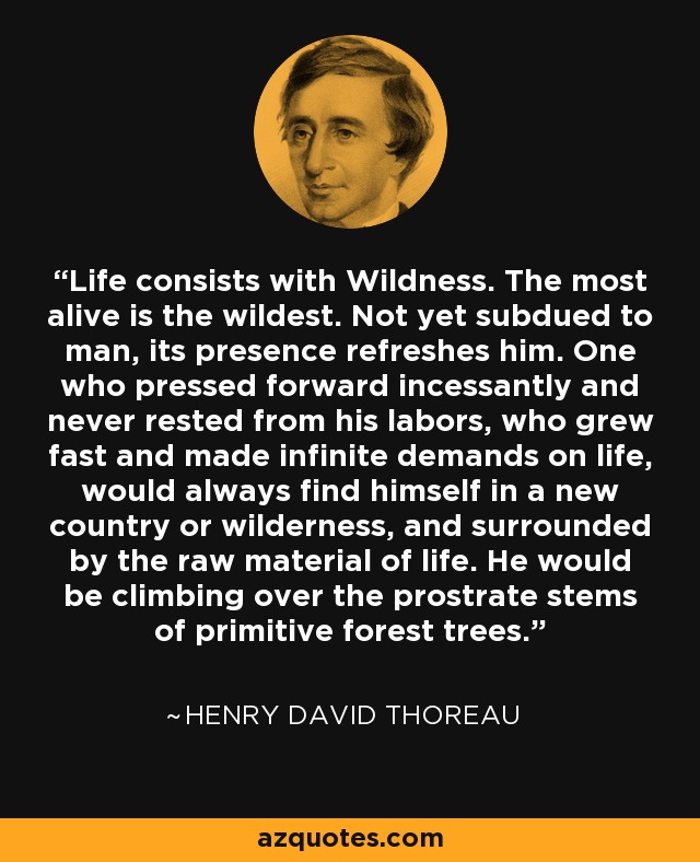 Life consists with Wildness. The most alive is the wildest. Not yet subdued to man, its presence refreshes him. One who pressed forward incessantly and never rested from his labors, who grew fast and made infinite demands on life, would always find himself in a new country or wilderness, and surrounded by the raw material of life. He would be climbing over the prostrate stems of primitive forest trees. - Henry David Thoreau