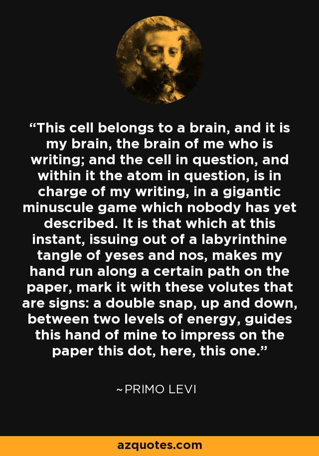 This cell belongs to a brain, and it is my brain, the brain of me who is writing; and the cell in question, and within it the atom in question, is in charge of my writing, in a gigantic minuscule game which nobody has yet described. It is that which at this instant, issuing out of a labyrinthine tangle of yeses and nos, makes my hand run along a certain path on the paper, mark it with these volutes that are signs: a double snap, up and down, between two levels of energy, guides this hand of mine to impress on the paper this dot, here, this one. - Primo Levi