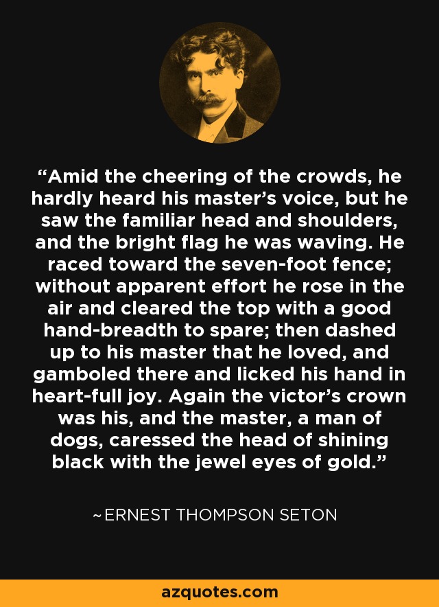 Amid the cheering of the crowds, he hardly heard his master's voice, but he saw the familiar head and shoulders, and the bright flag he was waving. He raced toward the seven-foot fence; without apparent effort he rose in the air and cleared the top with a good hand-breadth to spare; then dashed up to his master that he loved, and gamboled there and licked his hand in heart-full joy. Again the victor's crown was his, and the master, a man of dogs, caressed the head of shining black with the jewel eyes of gold. - Ernest Thompson Seton