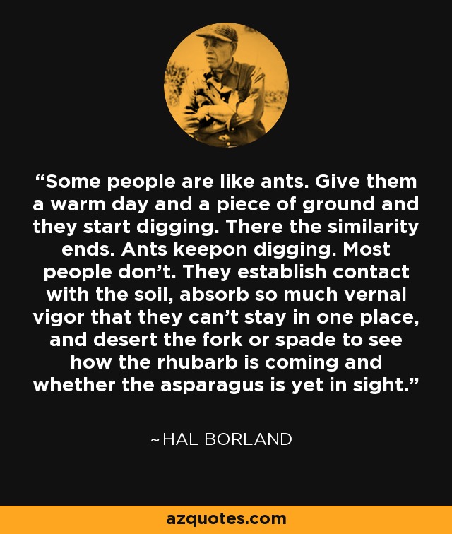 Some people are like ants. Give them a warm day and a piece of ground and they start digging. There the similarity ends. Ants keepon digging. Most people don't. They establish contact with the soil, absorb so much vernal vigor that they can't stay in one place, and desert the fork or spade to see how the rhubarb is coming and whether the asparagus is yet in sight. - Hal Borland