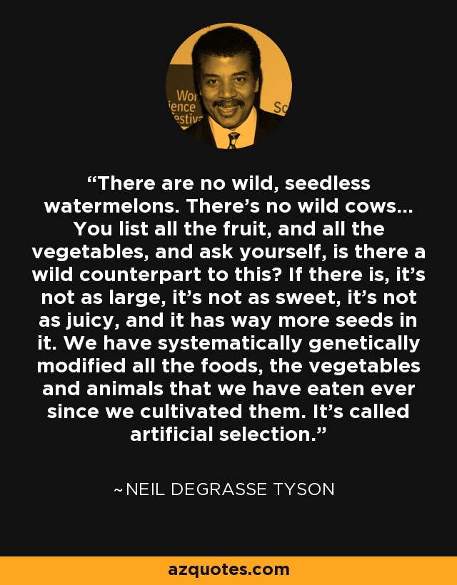 There are no wild, seedless watermelons. There's no wild cows... You list all the fruit, and all the vegetables, and ask yourself, is there a wild counterpart to this? If there is, it's not as large, it's not as sweet, it's not as juicy, and it has way more seeds in it. We have systematically genetically modified all the foods, the vegetables and animals that we have eaten ever since we cultivated them. It's called artificial selection. - Neil deGrasse Tyson