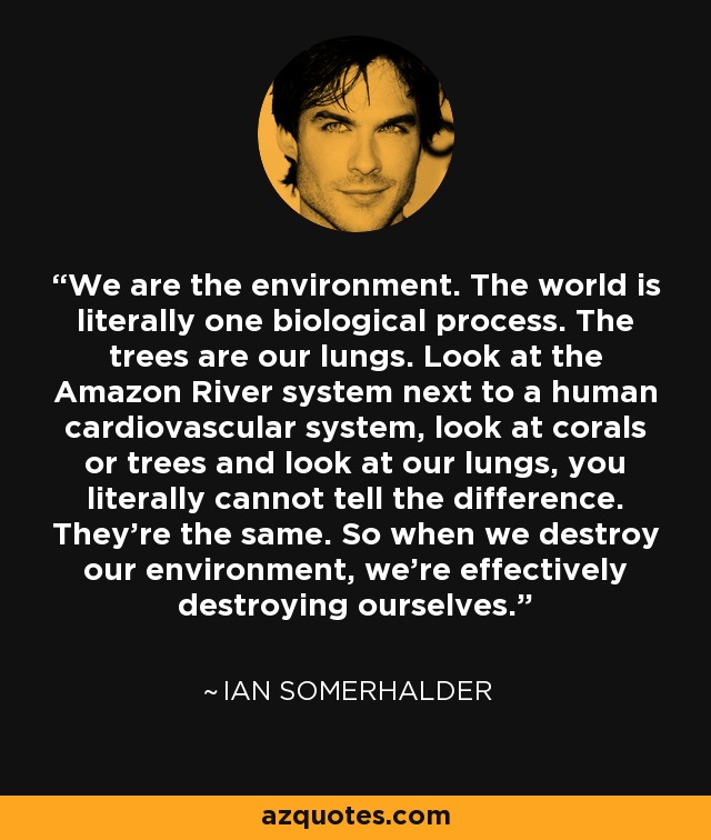 We are the environment. The world is literally one biological process. The trees are our lungs. Look at the Amazon River system next to a human cardiovascular system, look at corals or trees and look at our lungs, you literally cannot tell the difference. They’re the same. So when we destroy our environment, we’re effectively destroying ourselves. - Ian Somerhalder