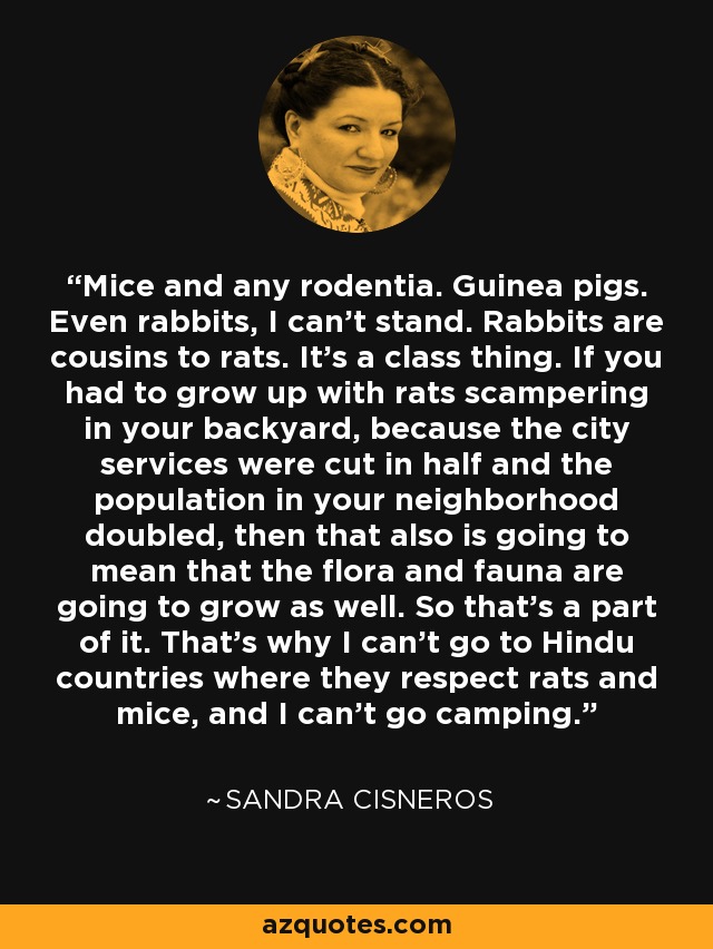 Mice and any rodentia. Guinea pigs. Even rabbits, I can't stand. Rabbits are cousins to rats. It's a class thing. If you had to grow up with rats scampering in your backyard, because the city services were cut in half and the population in your neighborhood doubled, then that also is going to mean that the flora and fauna are going to grow as well. So that's a part of it. That's why I can't go to Hindu countries where they respect rats and mice, and I can't go camping. - Sandra Cisneros