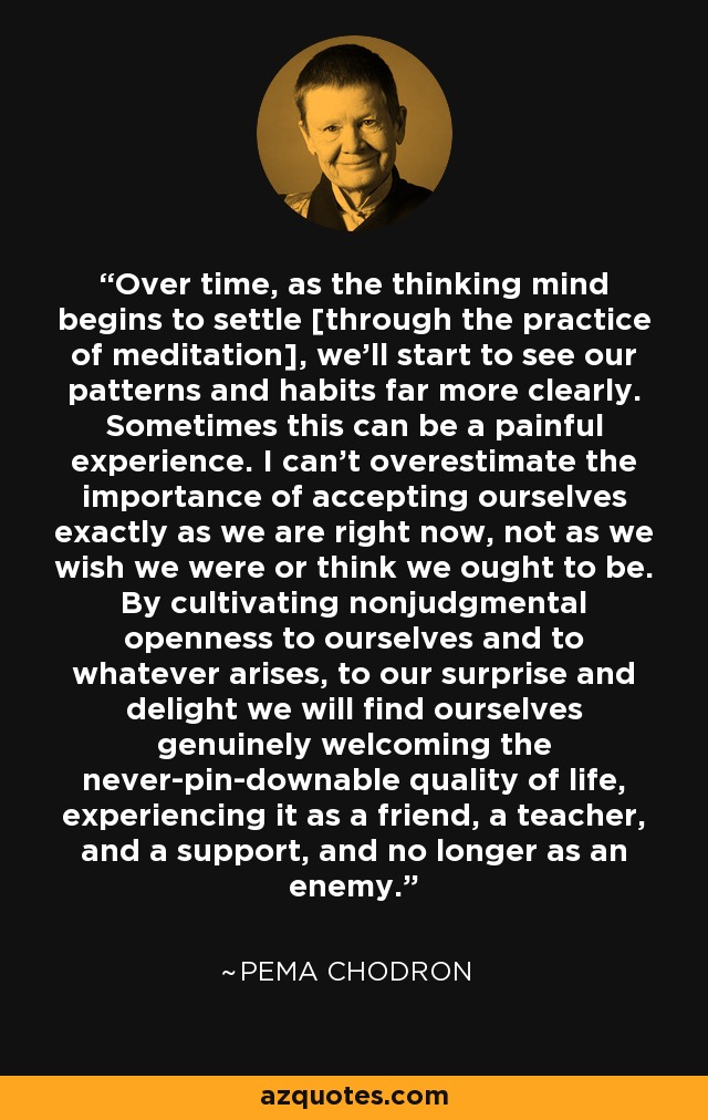 Over time, as the thinking mind begins to settle [through the practice of meditation], we’ll start to see our patterns and habits far more clearly. Sometimes this can be a painful experience. I can’t overestimate the importance of accepting ourselves exactly as we are right now, not as we wish we were or think we ought to be. By cultivating nonjudgmental openness to ourselves and to whatever arises, to our surprise and delight we will find ourselves genuinely welcoming the never-pin-downable quality of life, experiencing it as a friend, a teacher, and a support, and no longer as an enemy. - Pema Chodron
