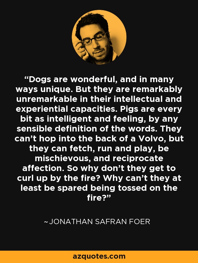 Dogs are wonderful, and in many ways unique. But they are remarkably unremarkable in their intellectual and experiential capacities. Pigs are every bit as intelligent and feeling, by any sensible definition of the words. They can't hop into the back of a Volvo, but they can fetch, run and play, be mischievous, and reciprocate affection. So why don't they get to curl up by the fire? Why can't they at least be spared being tossed on the fire? - Jonathan Safran Foer