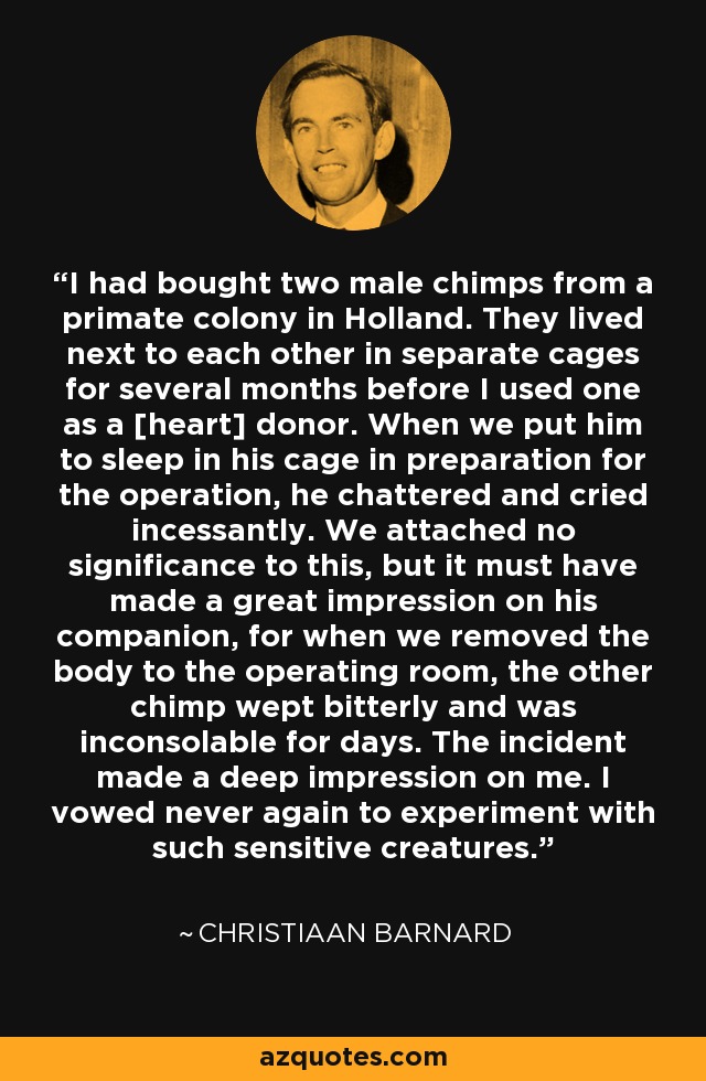 I had bought two male chimps from a primate colony in Holland. They lived next to each other in separate cages for several months before I used one as a [heart] donor. When we put him to sleep in his cage in preparation for the operation, he chattered and cried incessantly. We attached no significance to this, but it must have made a great impression on his companion, for when we removed the body to the operating room, the other chimp wept bitterly and was inconsolable for days. The incident made a deep impression on me. I vowed never again to experiment with such sensitive creatures. - Christiaan Barnard