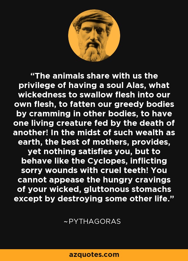 The animals share with us the privilege of having a soul Alas, what wickedness to swallow flesh into our own flesh, to fatten our greedy bodies by cramming in other bodies, to have one living creature fed by the death of another! In the midst of such wealth as earth, the best of mothers, provides, yet nothing satisfies you, but to behave like the Cyclopes, inflicting sorry wounds with cruel teeth! You cannot appease the hungry cravings of your wicked, gluttonous stomachs except by destroying some other life. - Pythagoras