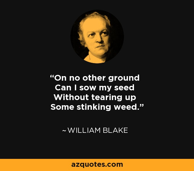 On no other ground Can I sow my seed Without tearing up Some stinking weed. - William Blake