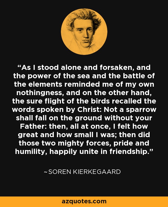 As I stood alone and forsaken, and the power of the sea and the battle of the elements reminded me of my own nothingness, and on the other hand, the sure flight of the birds recalled the words spoken by Christ: Not a sparrow shall fall on the ground without your Father: then, all at once, I felt how great and how small I was; then did those two mighty forces, pride and humility, happily unite in friendship. - Soren Kierkegaard