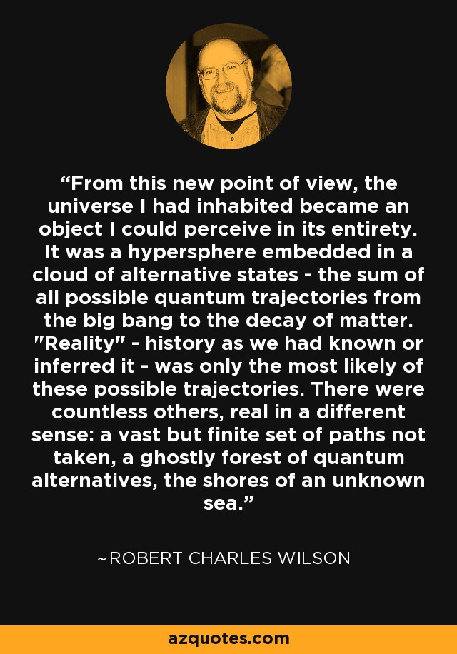 From this new point of view, the universe I had inhabited became an object I could perceive in its entirety. It was a hypersphere embedded in a cloud of alternative states - the sum of all possible quantum trajectories from the big bang to the decay of matter. 