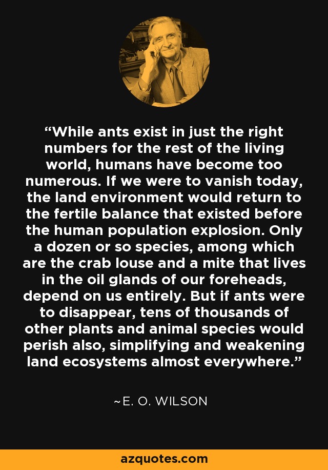 While ants exist in just the right numbers for the rest of the living world, humans have become too numerous. If we were to vanish today, the land environment would return to the fertile balance that existed before the human population explosion. Only a dozen or so species, among which are the crab louse and a mite that lives in the oil glands of our foreheads, depend on us entirely. But if ants were to disappear, tens of thousands of other plants and animal species would perish also, simplifying and weakening land ecosystems almost everywhere. - E. O. Wilson