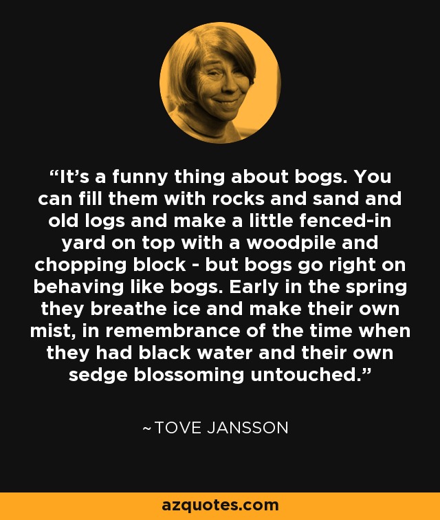 It's a funny thing about bogs. You can fill them with rocks and sand and old logs and make a little fenced-in yard on top with a woodpile and chopping block - but bogs go right on behaving like bogs. Early in the spring they breathe ice and make their own mist, in remembrance of the time when they had black water and their own sedge blossoming untouched. - Tove Jansson