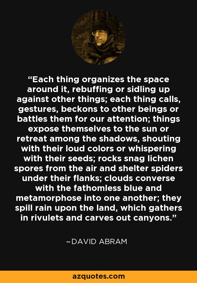 Each thing organizes the space around it, rebuffing or sidling up against other things; each thing calls, gestures, beckons to other beings or battles them for our attention; things expose themselves to the sun or retreat among the shadows, shouting with their loud colors or whispering with their seeds; rocks snag lichen spores from the air and shelter spiders under their flanks; clouds converse with the fathomless blue and metamorphose into one another; they spill rain upon the land, which gathers in rivulets and carves out canyons. - David Abram