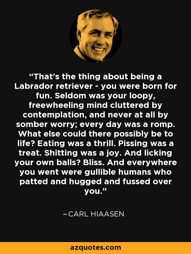 That's the thing about being a Labrador retriever - you were born for fun. Seldom was your loopy, freewheeling mind cluttered by contemplation, and never at all by somber worry; every day was a romp. What else could there possibly be to life? Eating was a thrill. Pissing was a treat. Shitting was a joy. And licking your own balls? Bliss. And everywhere you went were gullible humans who patted and hugged and fussed over you. - Carl Hiaasen