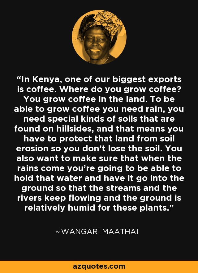 In Kenya, one of our biggest exports is coffee. Where do you grow coffee? You grow coffee in the land. To be able to grow coffee you need rain, you need special kinds of soils that are found on hillsides, and that means you have to protect that land from soil erosion so you don't lose the soil. You also want to make sure that when the rains come you're going to be able to hold that water and have it go into the ground so that the streams and the rivers keep flowing and the ground is relatively humid for these plants. - Wangari Maathai