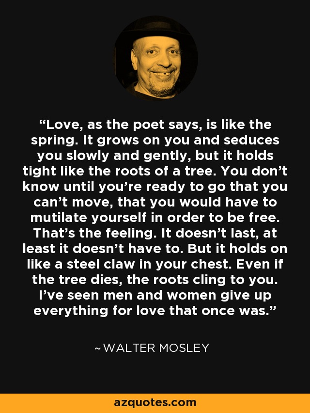 Love, as the poet says, is like the spring. It grows on you and seduces you slowly and gently, but it holds tight like the roots of a tree. You don't know until you're ready to go that you can't move, that you would have to mutilate yourself in order to be free. That's the feeling. It doesn't last, at least it doesn't have to. But it holds on like a steel claw in your chest. Even if the tree dies, the roots cling to you. I've seen men and women give up everything for love that once was. - Walter Mosley