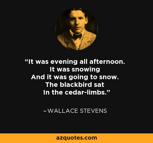 It was evening all afternoon. It was snowing And it was going to snow. The blackbird sat In the cedar-limbs. - Wallace Stevens